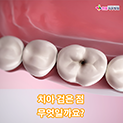 홈페이지용-썸내일.png